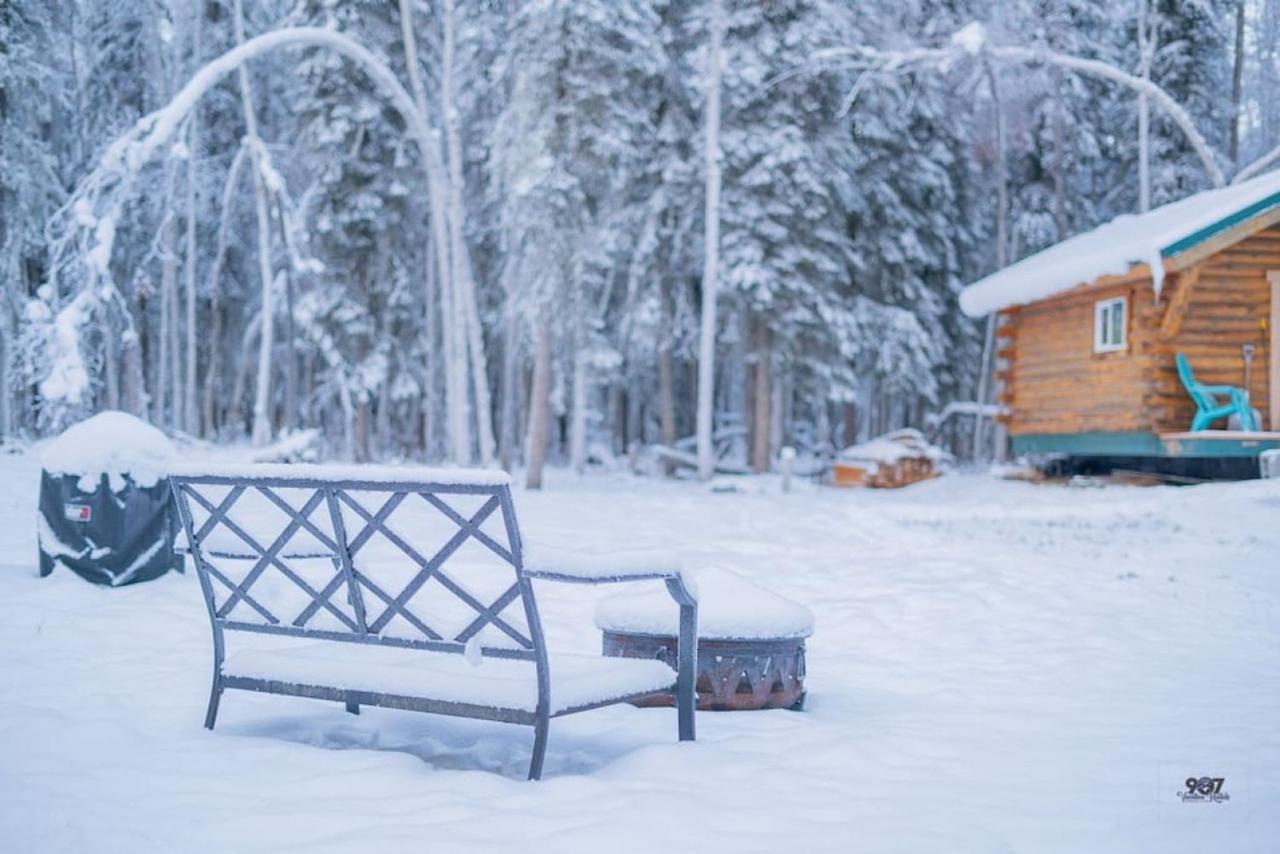 Studio Log Dry Cabin| Aurora Views! Фербанкс Екстер'єр фото